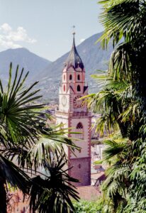 A clock tower rises among palm trees.